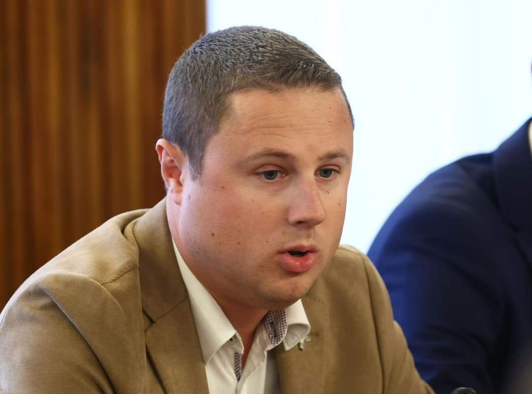 Slika uz članak: Vlada: Sova in OVS bosta še naprej poročala predsednici republike
