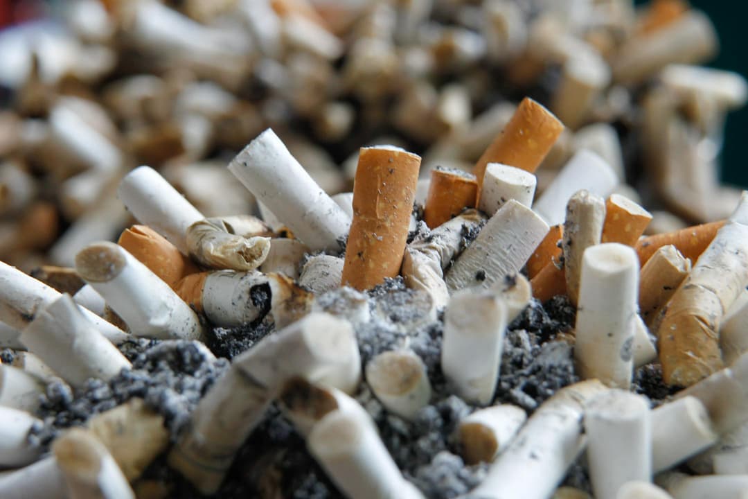 Slika uz članak: V Pomurju odkrili največjo nezakonito proizvodnjo cigaret v Sloveniji