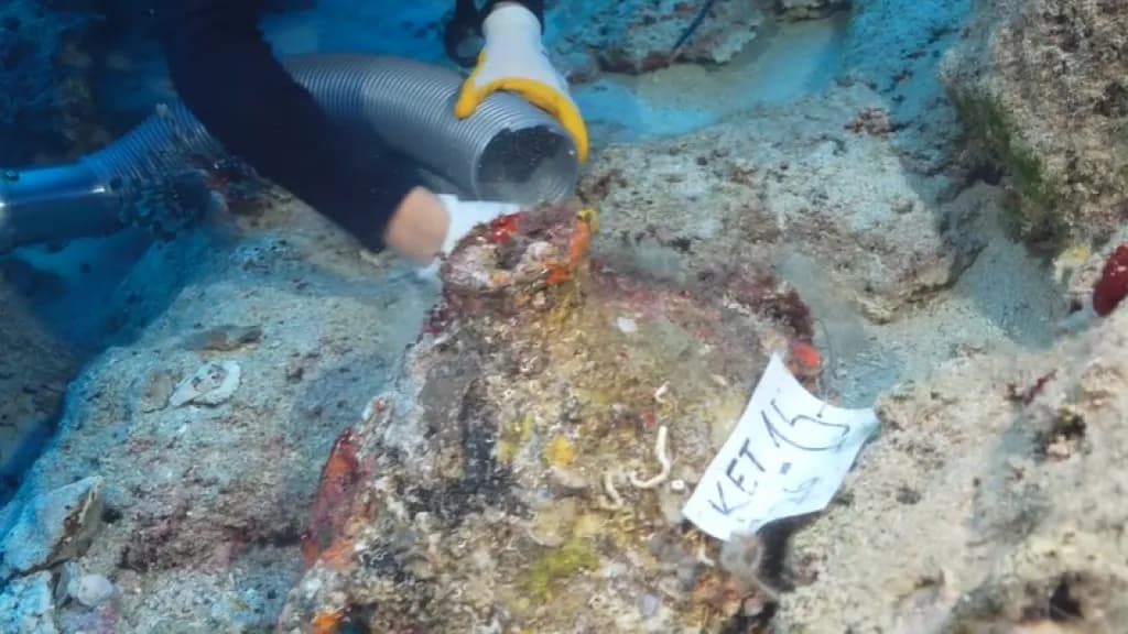 Slika uz članak: Najstarija olupina broda na svetu pronađena kod obale Turske: Teret možda išao ka Kritu ili drevnoj Troji