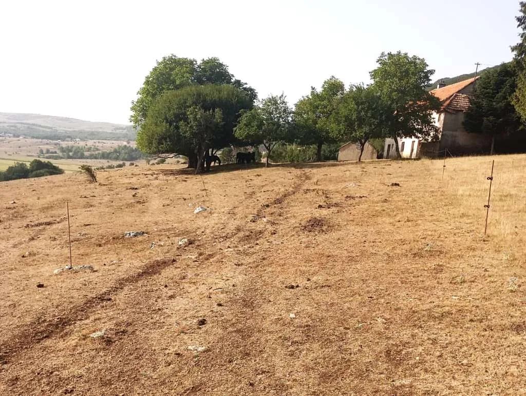 Slika uz članak: Udruženje poljoprivrednika FBiH: Bez pomoći prijeti pad proizvodnje i zatvaranje farmi