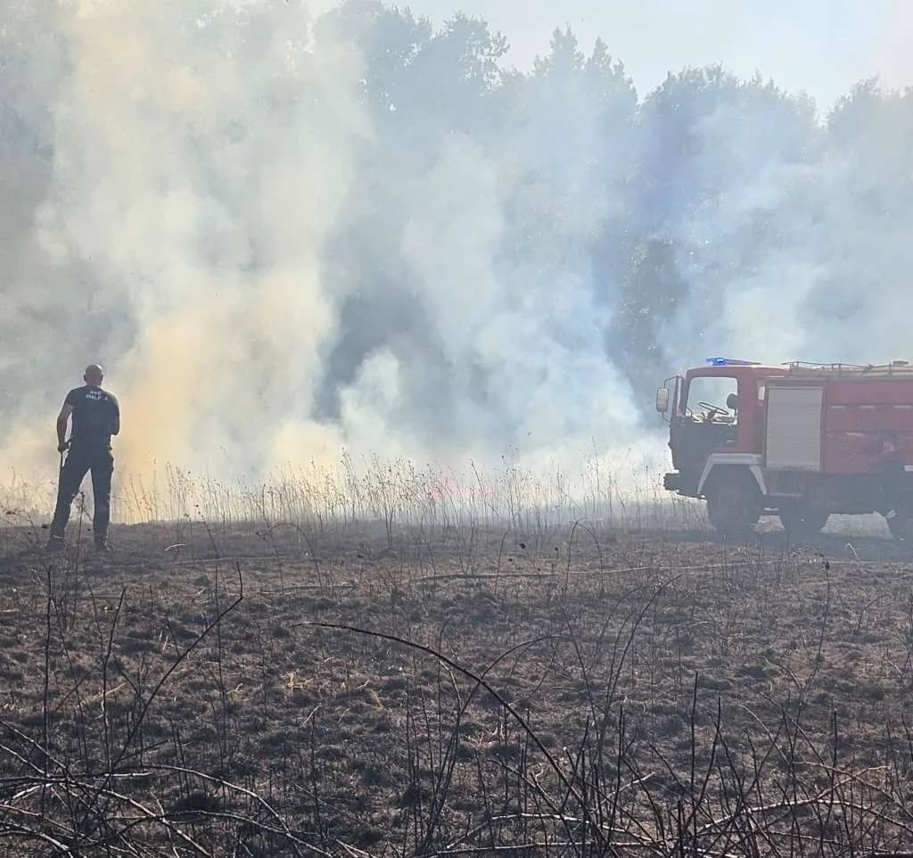 Slika uz članak: Požar kod Gruda pod kontrolom: Izgorjelo 16 hektara šume, dio sela nema struje