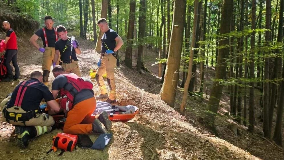 Slika uz članak: Poznati slovenski političar teško stradao u branju gljiva: Hitno prevezen helikopterom u bolnicu