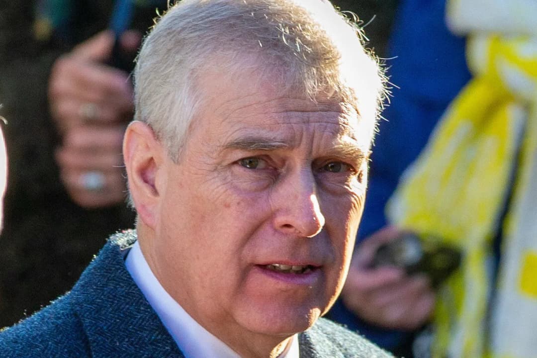 Slika uz članak: Britanska policija priznala, da so bile hišne preiskave pri nekdanjem princu nezakonite