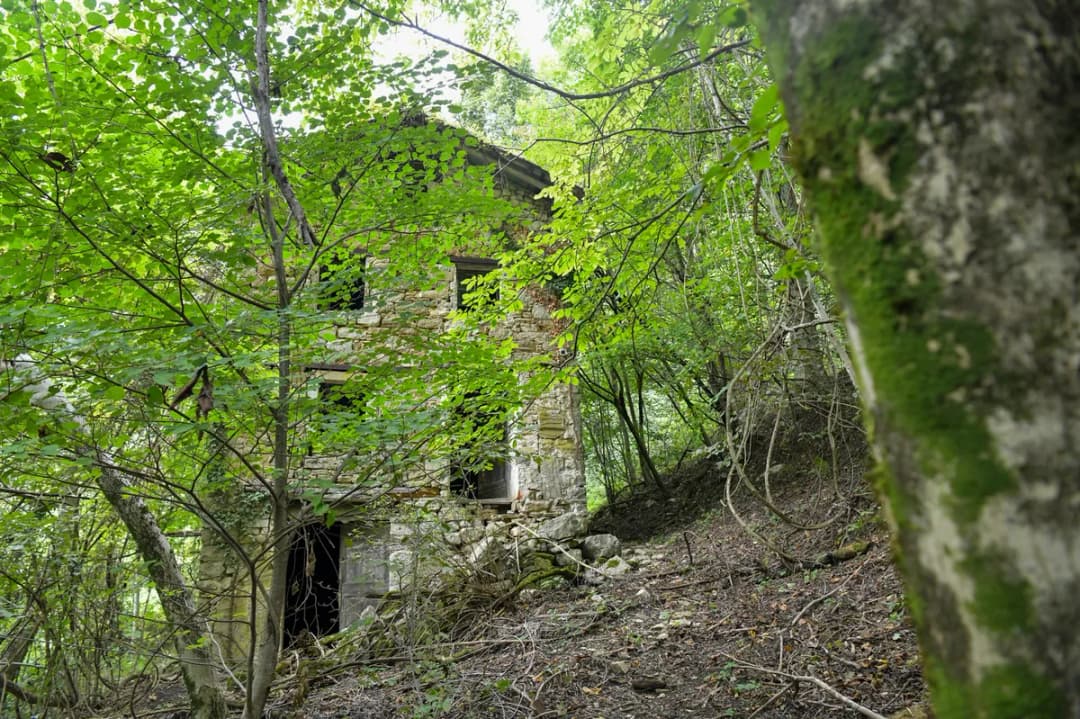 Slika uz članak: Zgodbe iz vasi, ki jih je vzel gozd (FOTO in VIDEO)