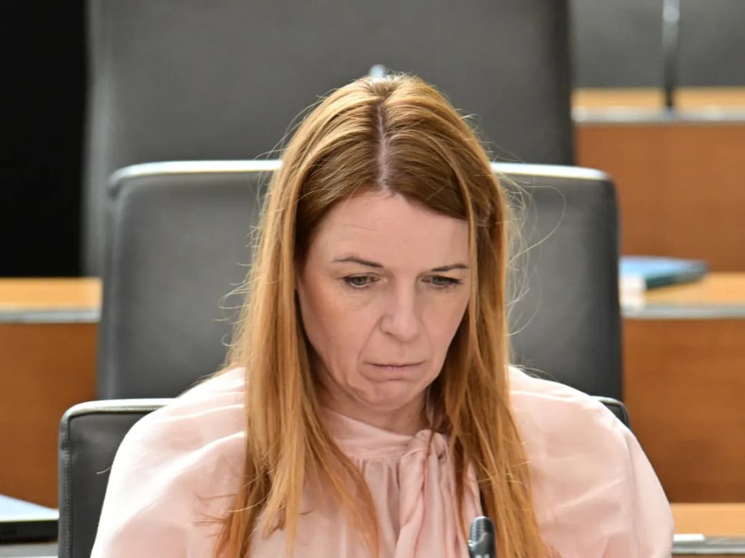 Slika uz članak: Tea Košir zapušča Demokrate in se v državni zbor vrača kot nepovezana poslanka