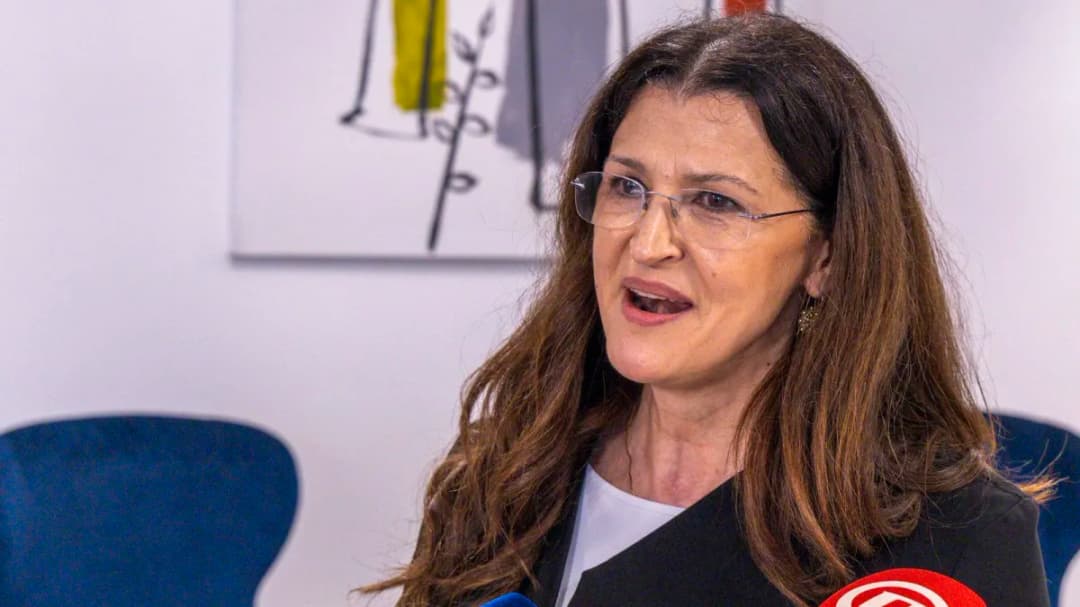 Slika uz članak: SDP-ova eurozastupnica odgovorila na optužbe: 'Događaj u Strasbourgu je prema pravilima EP-a'
