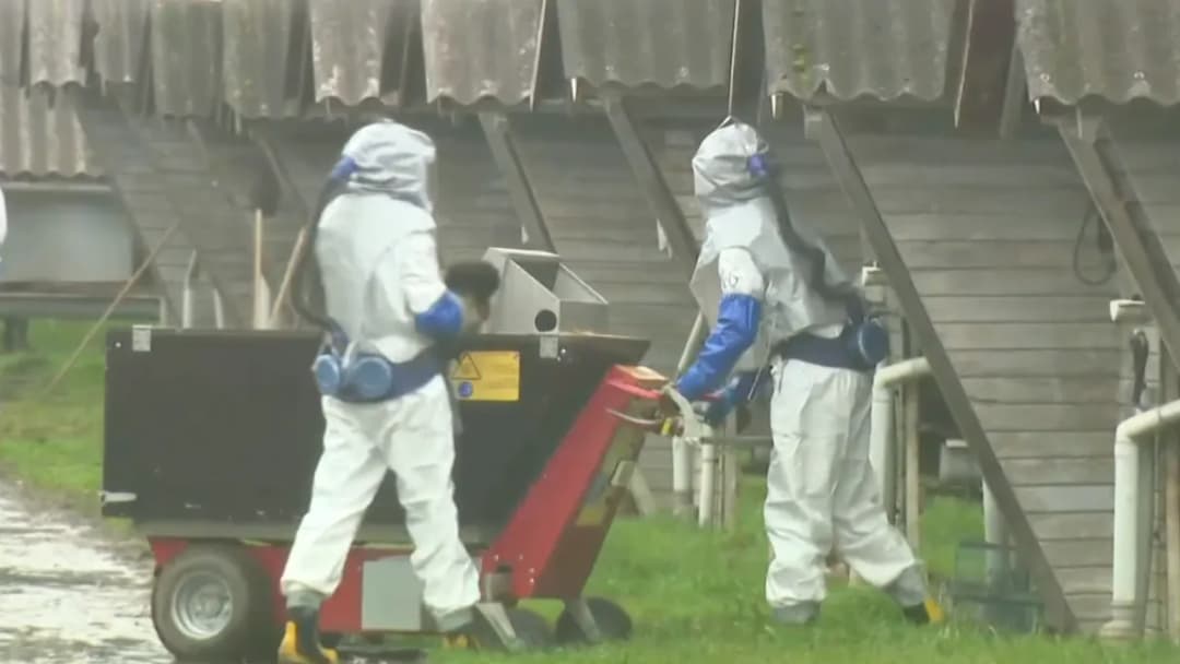 Slika uz članak: Drugi sumnjivi smrtni slučaj od 'upale pluća': Rusija negira 'crnu smrt', WHO traži odgovore
