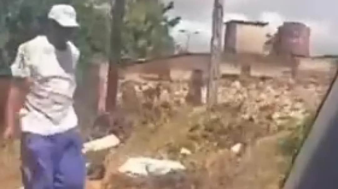 Slika uz članak: Legendarni boksač traži hranu po smeću: 'Šampione, što se događa?'