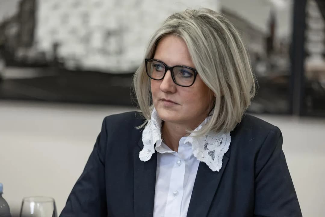 Slika uz članak: RIK proglasio izbornu listu "HNV - Hrvatska nacionalna vizija - Jasna Vojnić" za manjinske izbore