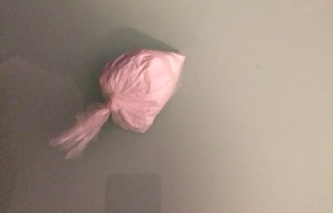 Slika uz članak: Zaplenjeno pola kilograma spida: Uhapšen muškarac, droga pronađena u automobilu