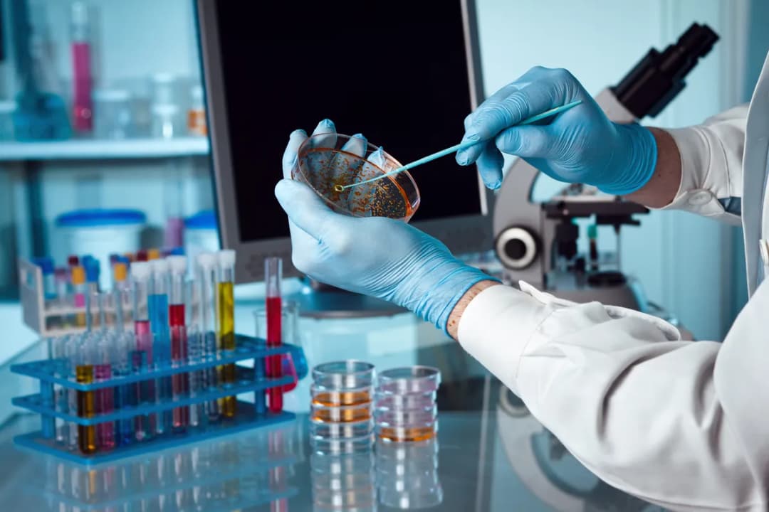 Slika uz članak: Da li se kuga pojavila u Rusiji? Umrla radnica specijalne laboratorije, skoro 200 ljudi pod nadzorom