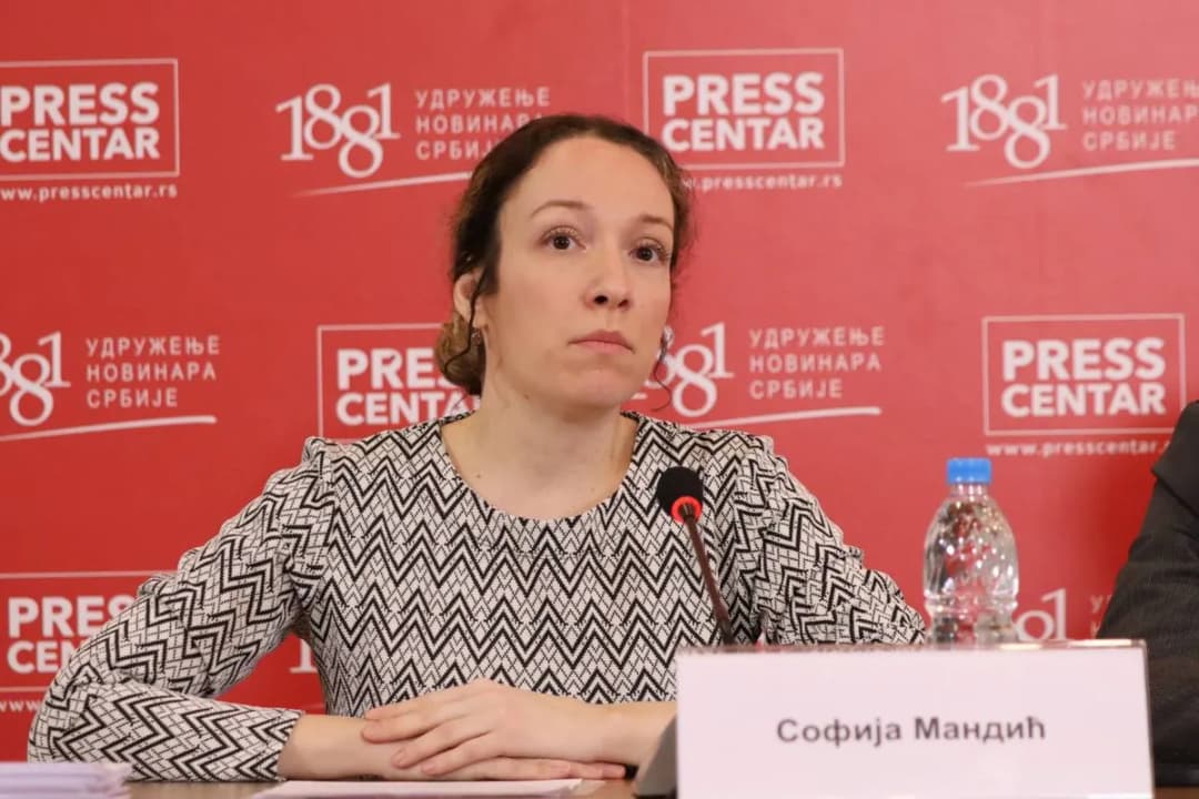 Slika uz članak: Mandić: Ko god da pobedi - izbori su neregularni, “Narodna Srbija” da razmisli o povlačenju liste