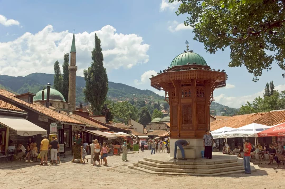 Slika uz članak: FOTO Skandal u Sarajevu: Pekli prase na ražnju u Botaničkoj bašti Zemaljskog muzeja