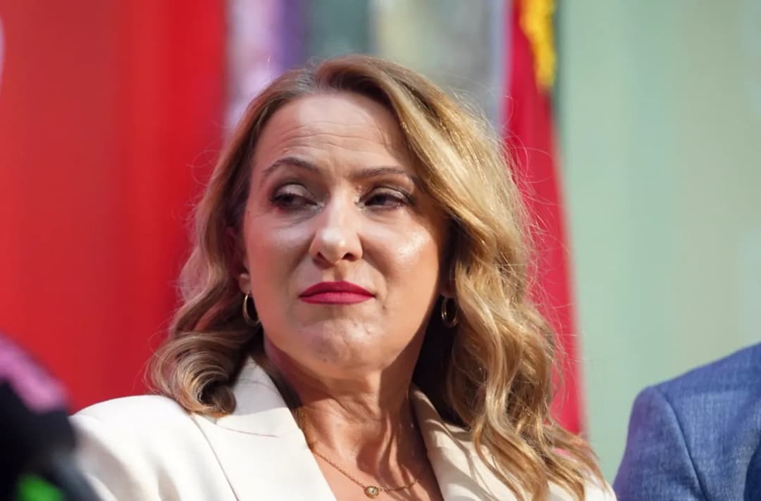 Slika uz članak: Paunović: Socijalisti se neće pocepati, niti promeniti stranu posle izbora