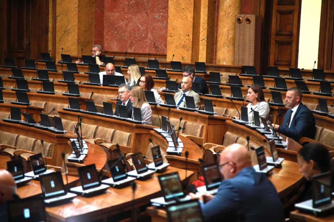 Slika uz članak: Analiza profesora Pavlovića: Šta se dešava sa glasovima lista koje nisu pešle cenzus i kako se raspodeljuju mandati po Dontovom sistemu FOTO