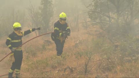 Slika uz članak: Vatrogasci-spasioci traže bolje zarade i uslove rada: Dogorjelo nam je do nokata