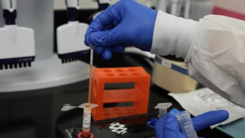 Slika uz članak: UN: Epidemija ebole i dalje ogromna, vrhunac još nije dostignut