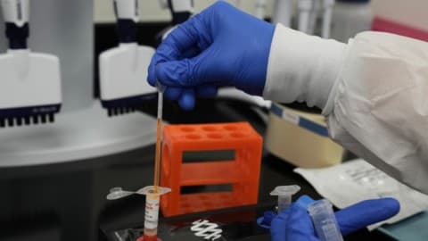 Slika uz članak: Epidemija ebole u Kongu i dalje nije pod kotrolom: Stopa smrtnosti gotovo 50 odsto