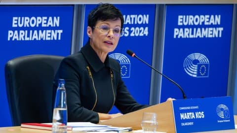 Slika uz članak: Kos: Uznemirujuće slike sa sahrane Mladića ne predstavljaju srpsko društvo u cjelini