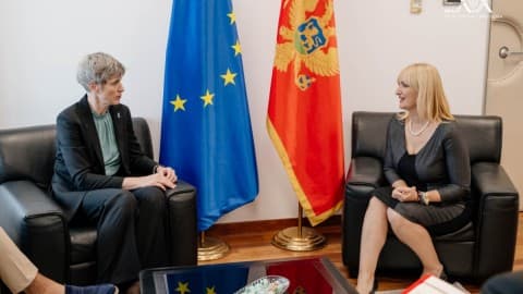 Slika uz članak: Borovinić Bojović sa Paniklovom: Fokus na telemedicini, zdravlju mladih i prevenciji karcinoma