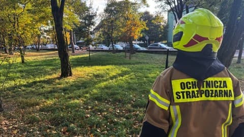Slika uz članak: U Poljskoj i treći napad nožem u školi