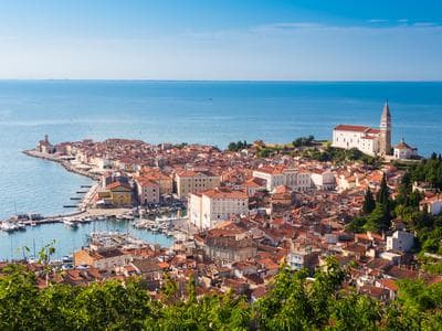 Slika uz članak: Več kot 260 prostovoljcev bo danes čistilo slovensko obalo