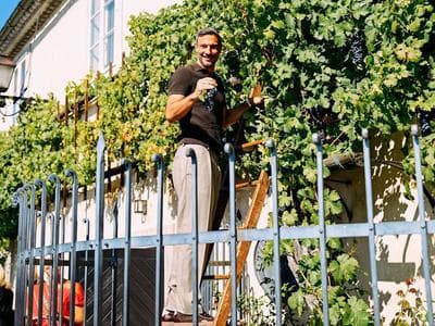 Slika uz članak: Slavko Vinčić pokazal svojo drugo plat: poglejte, kaj je oblekel za trgatev
