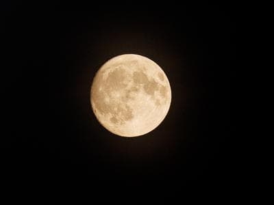 Slika uz članak: Luna bo danes za dobro uro zakrila Venero