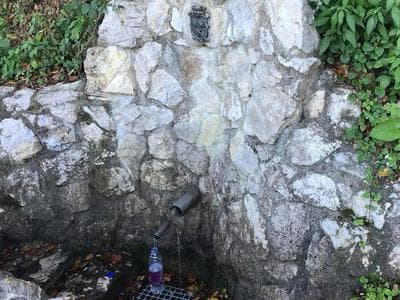 Slika uz članak: Celjska občina opozarja občane: Tega nikar ne počnite