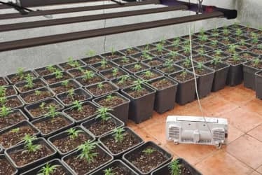 Slika uz članak: UBISTVA, OTMICE, BOMBE I TONE DROGE: Europol razbio moćnu kriminalnu mrežu sa Balkana
