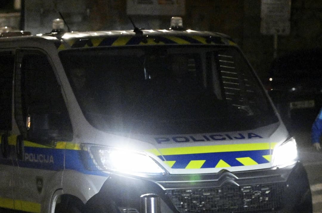 Slika uz članak: Policajac u Ljubljani davio Armina, on potom preminuo