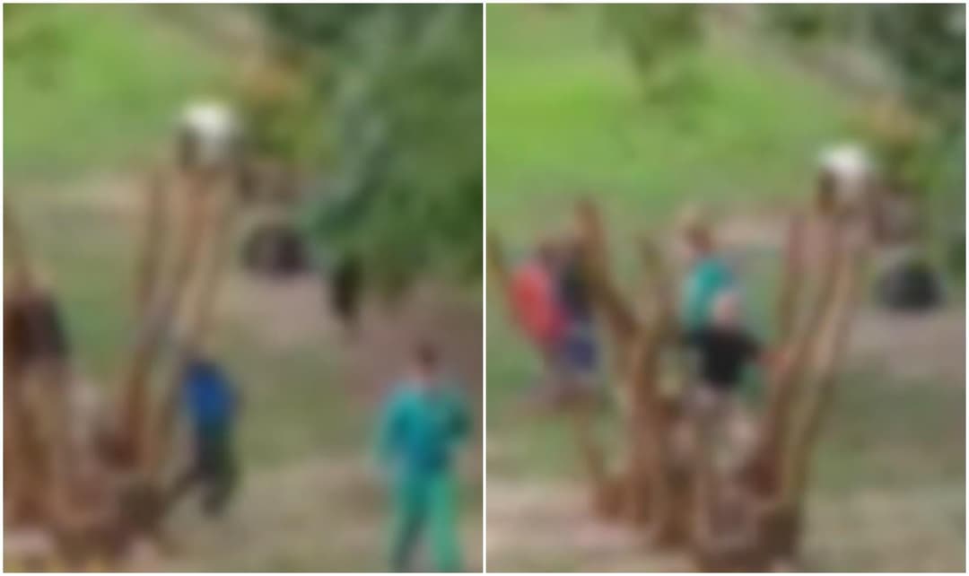 Slika uz članak: VIDEO Užas u vrtiću! Dječačića (4) vršnjaci tuku i gaze nogama, susjeda snimila brutalne scene. Završio je u bolnici