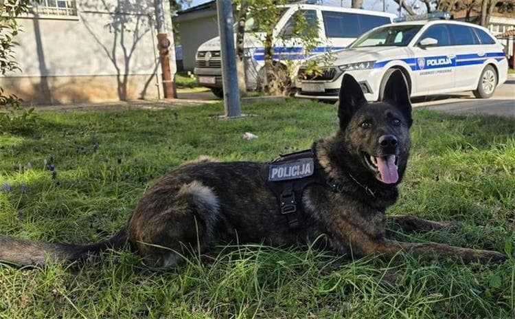 Slika uz članak: Zadarska policija zaplijenila oko kilogram kokaina: Gana nanjušila drogu na A1, dan ranije "pao" i 22-godišnjak
