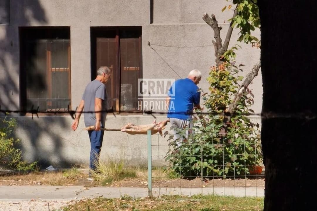 Slika uz članak: Bizaran prizor u Sarajevu: Ispred poznatog muzeja okretali prase na ražnju! ‘Dotična obitelj stalno radi probleme‘