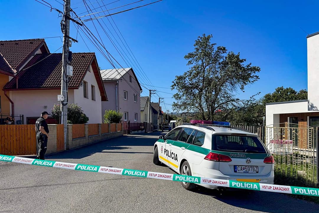 Slika uz članak: Tragedija u osnovnoj školi: Dječak (13) nožem ubio učiteljicu, drugom djetetu bore se za život