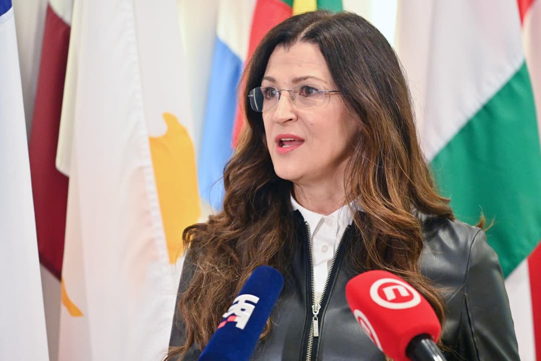 Slika uz članak: SDP-ova eurozastupnica objasnila aferu oko šokantnih računa i lažnih zanimanja: ‘Došlo je do nenamjernog propusta...‘