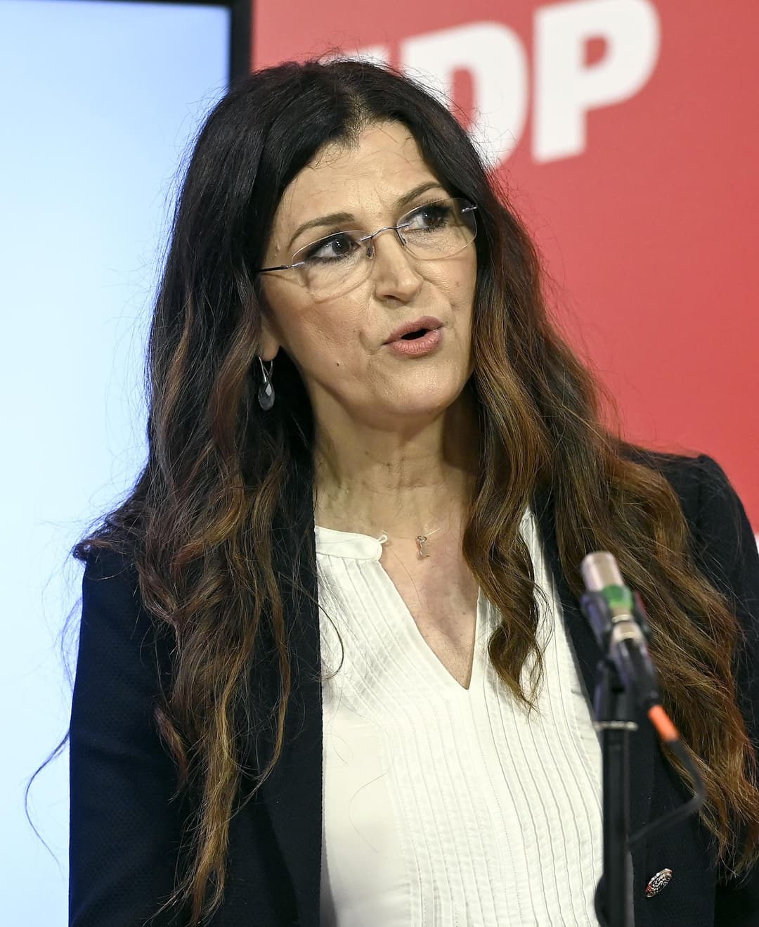 Slika uz članak: Burno u SDP-u! Oglasili se nakon odlaska eurozastupnice, poslali joj jasnu poruku