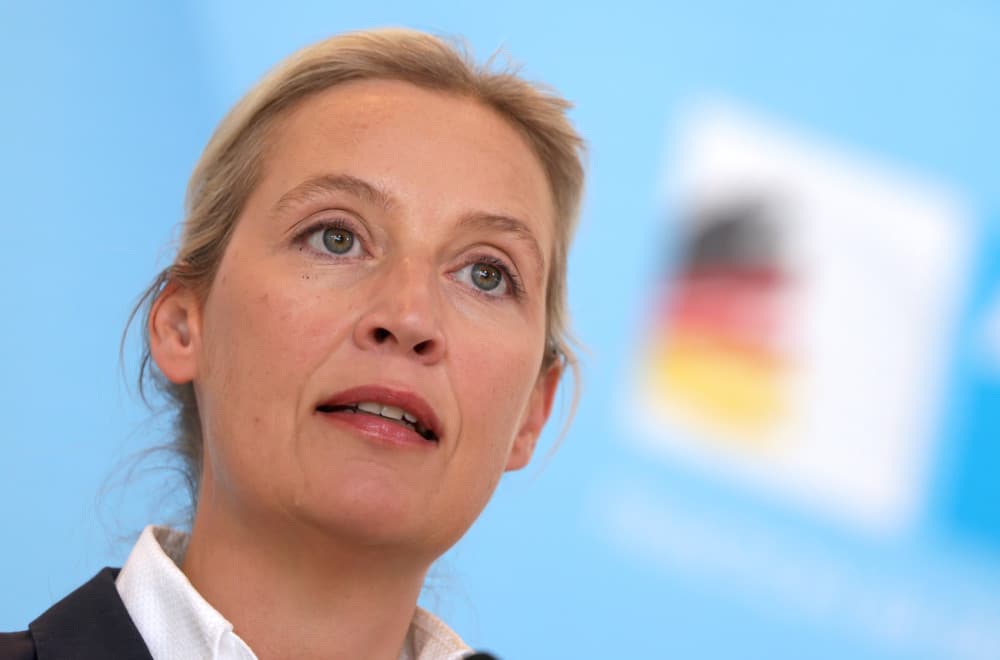 Slika uz članak: Veliki zaokret: Putinov čovek i AfD za istim stolom