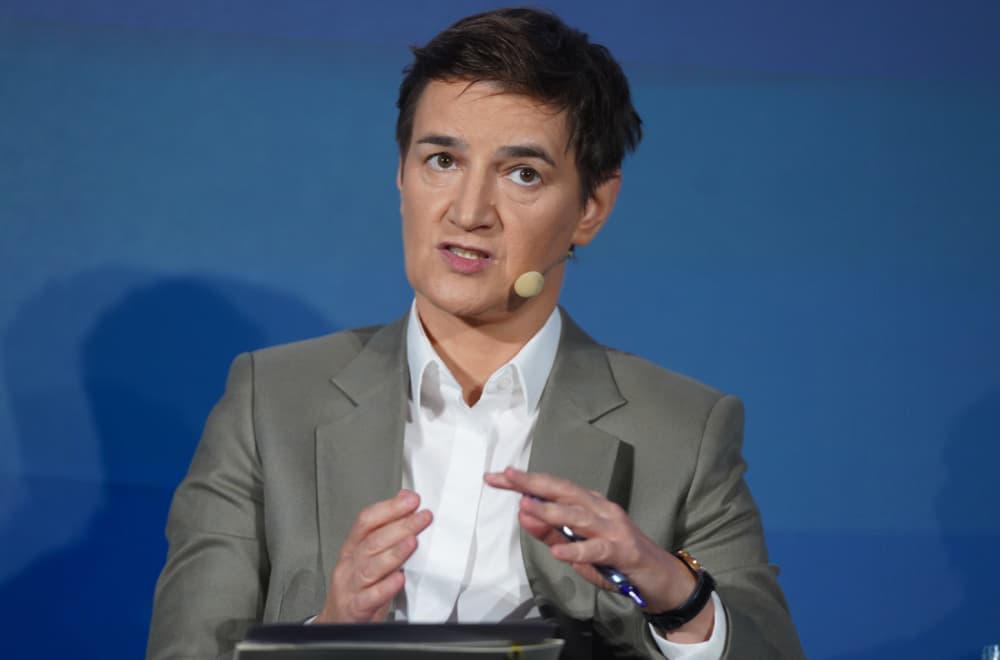 Slika uz članak: Brnabić zbog Mladića prozvala BiH i Hrvatsku: Što je bilo s Praljkom i Rasimom Delićem?