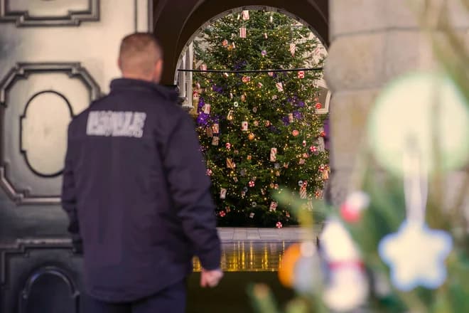 Slika uz članak: Božičnica bo letos višja: koliko bo denarja in kdaj mora biti na računu