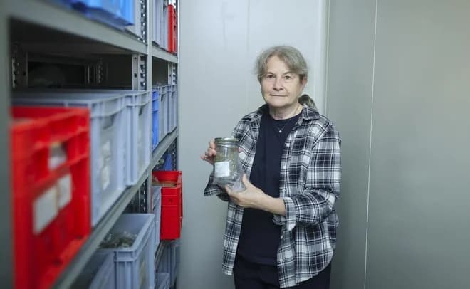 Slika uz članak: Zakladnica za prihodnost: kako hranimo semena pomembnih slovenskih sort