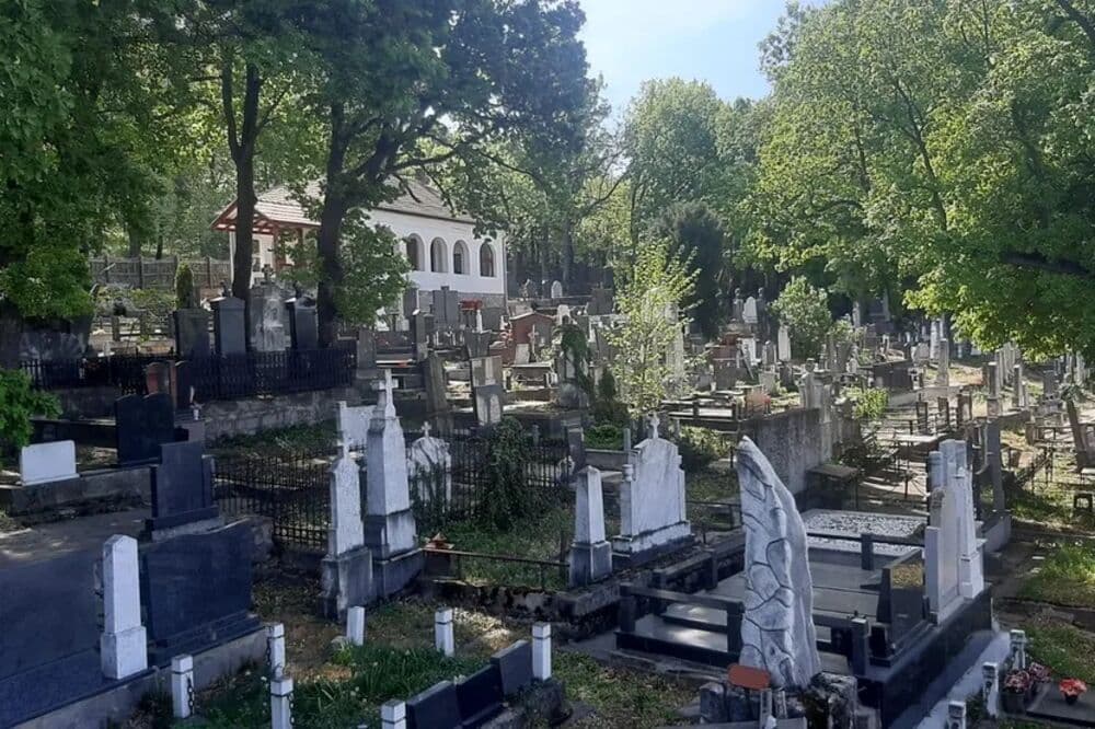 Slika uz članak: Odbio da napusti Srbiju tokom bombardovanja! Japanac joj bio veran do smrti, a ovo mu je bila poslednja želja