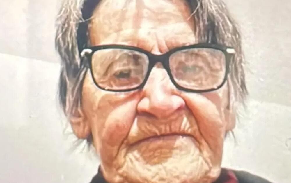 Slika uz članak: Nestala baka Sava (74) iz Batajnice: Poslednji put viđena na Zelenom vencu, porodica moli za pomoć!