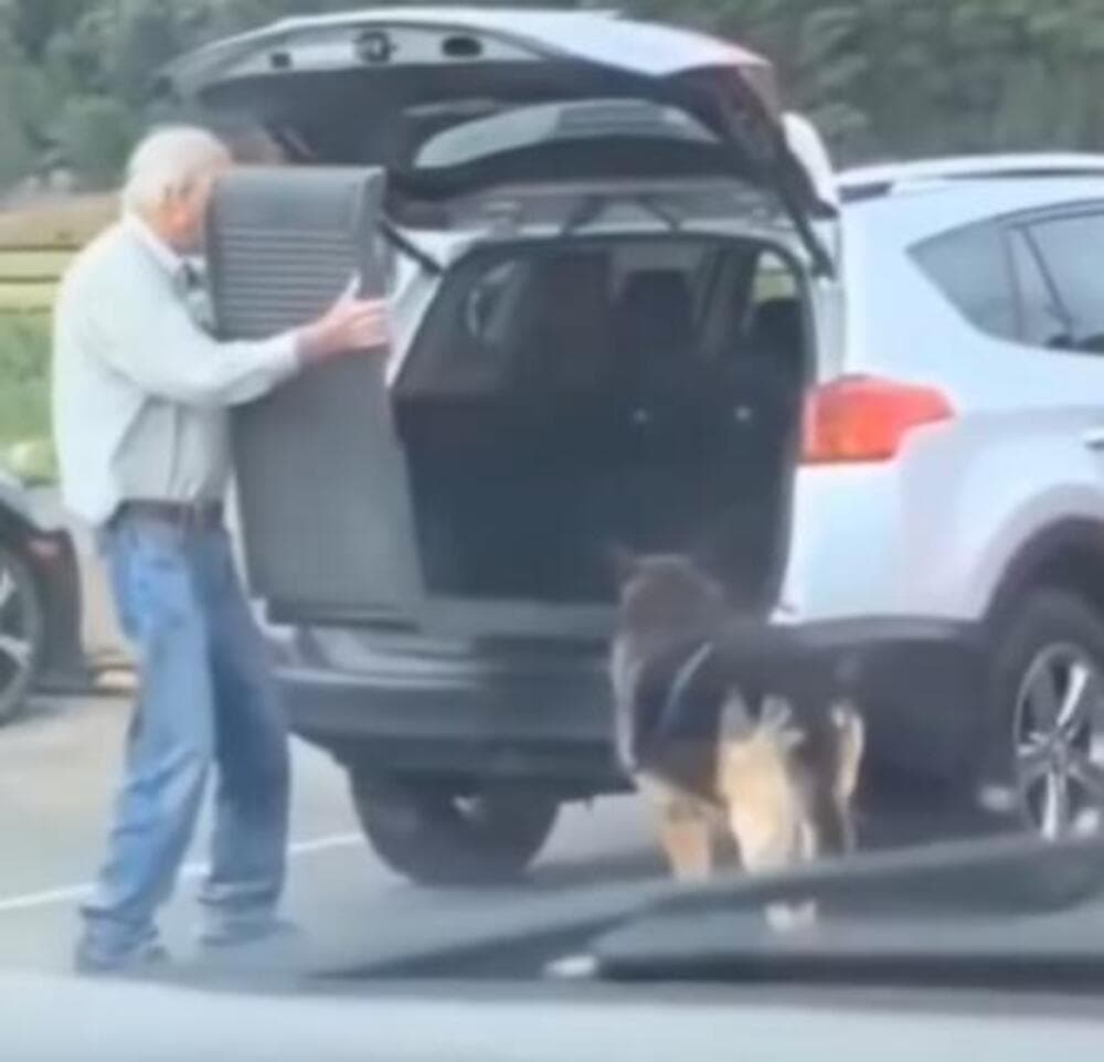 Slika uz članak: Snimak deke iz Užica će vam naterati suze na oči: Prizor koji se sigurno ne zaboravlja (VIDEO)