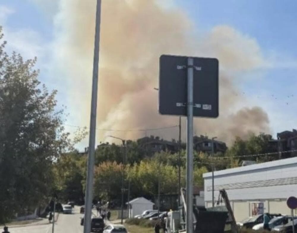 Slika uz članak: Gori šuma iznad Bora: Gusti dim prekrio nebo, ljudi u šoku! (FOTO)