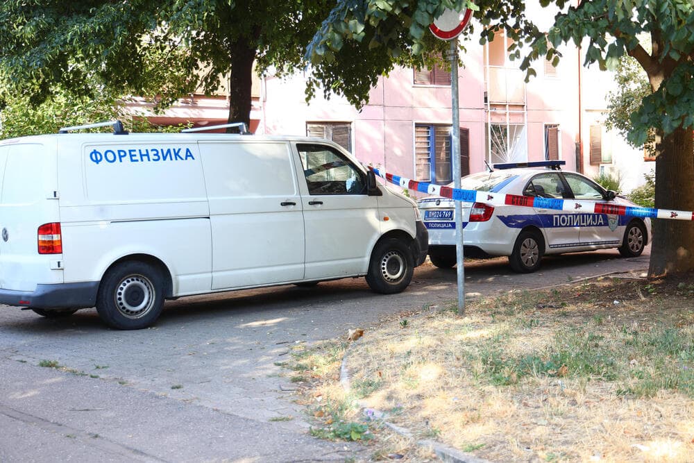 Slika uz članak: Brutalno ubistvo u Srbiji: Sin čekićem i nožem ubio majku u kolicima, pa se sam prijavio