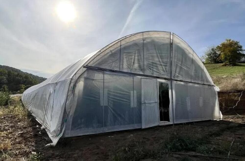Slika uz članak: Policija otkrila plantažu marihuane u Gornjem Milanovcu: Uhapšena četvorica osumnjičenih FOTO