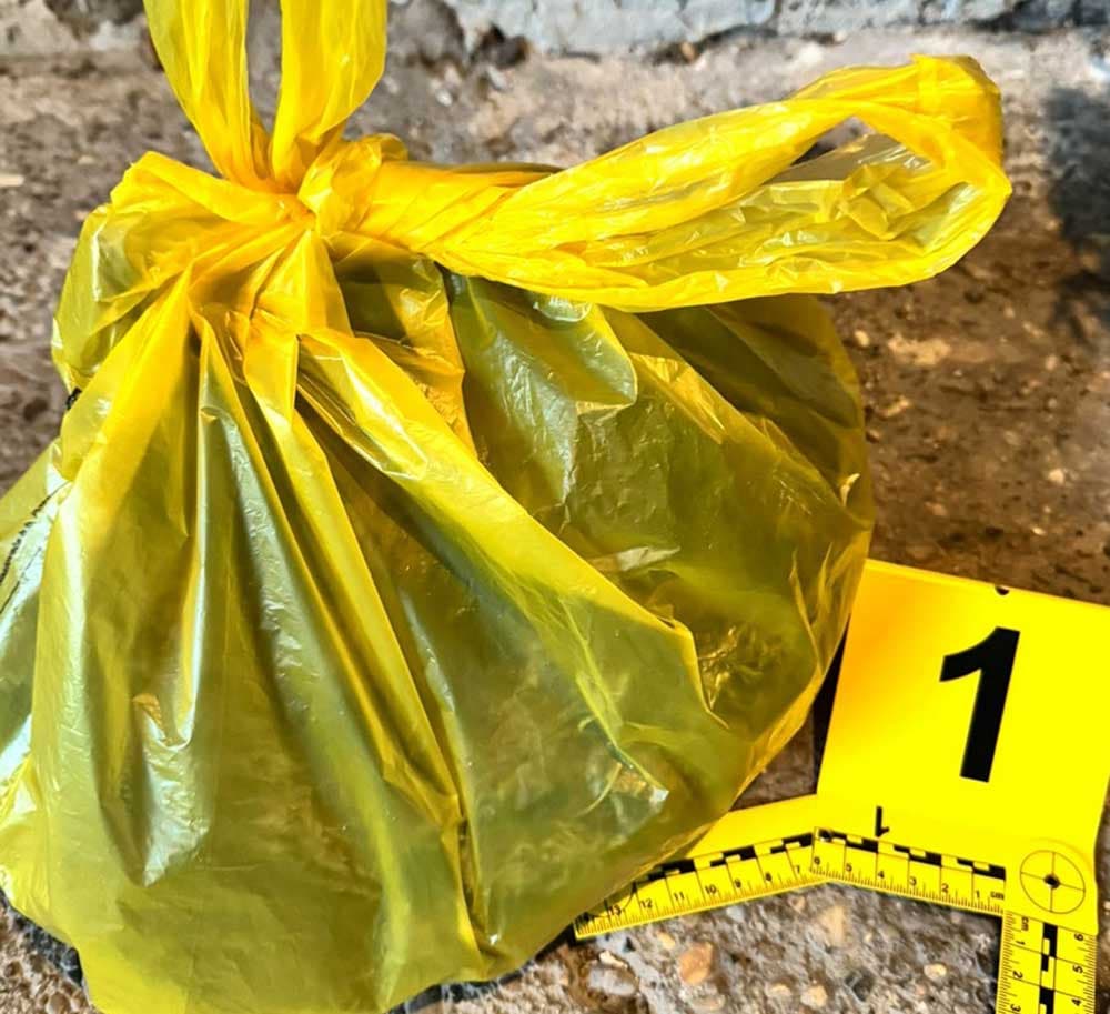 Slika uz članak: U Čapljini pronađena plantaža kanabisa, dvije osobe uhićene