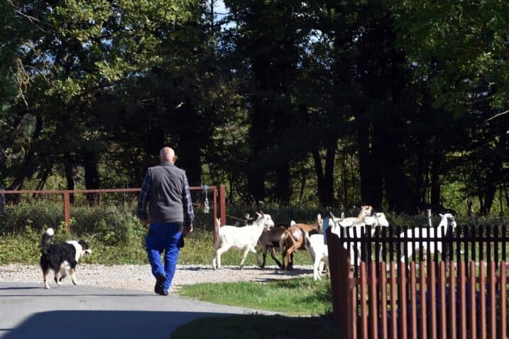 Slika uz članak: HZJZ o PFAS spojevima u krvi ljudi: “Nalazi iz Gospića ne mogu se povezati s otpadom”
