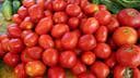 Slika uz članak: U cherry rajčicama iz Italije otkrivena salmonela, distribuirane su i u Hrvatskoj